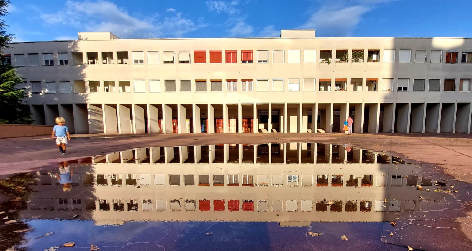 And sometimes you can see 2 Red Dinosaurs